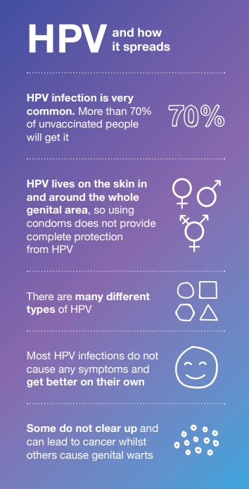 HPV Info 2