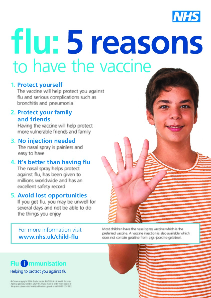 UKHSA Flu 5 reasons poster Secondary School