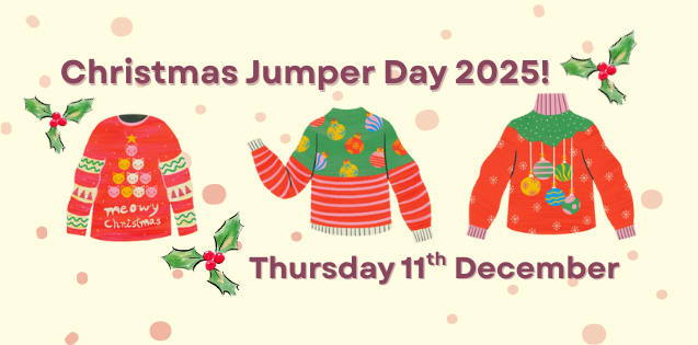 Christmas Jumper Day